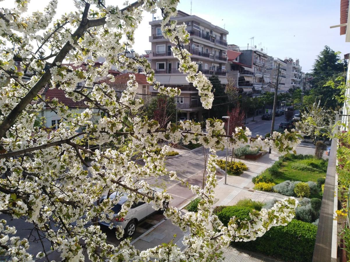 Hotel Olympia Edesa Zewnętrze zdjęcie