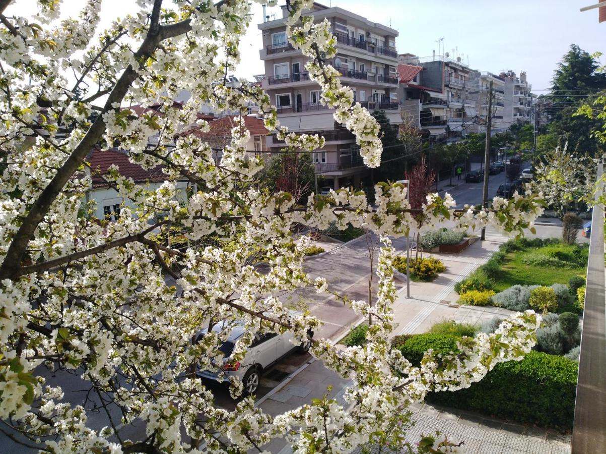 Hotel Olympia Edesa Zewnętrze zdjęcie
